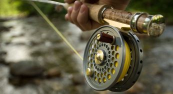Fly Fishing Reel Market: Industry Demand, Share, Size, Future Growth 2024