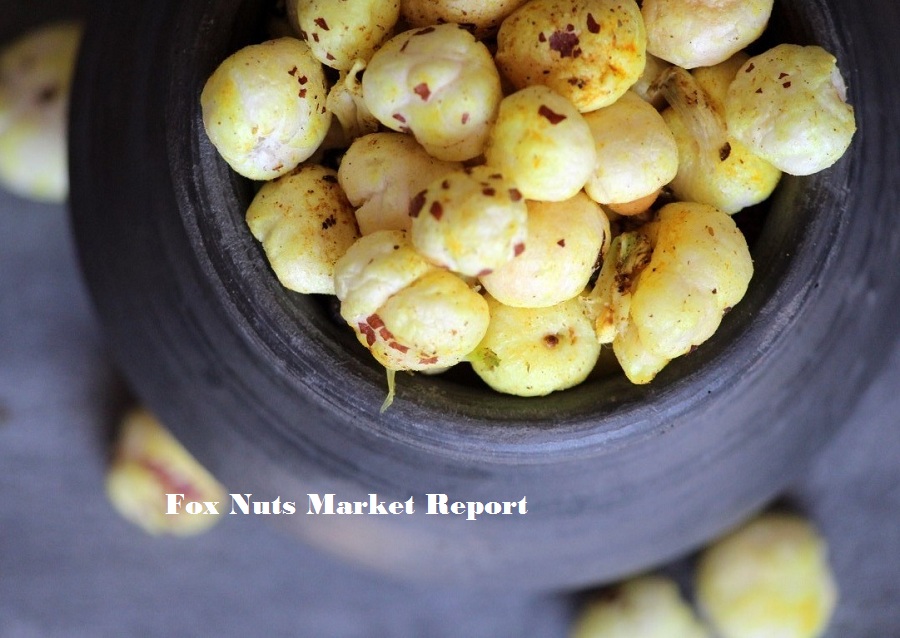 <span class="entry-title-primary">Fox Nuts Market | Lotus Seeds Market | Research Report by 2025</span> <span class="entry-subtitle">Global Fox Nuts Market Report</span><span class="rating-result after_title mr-filter rating-result-29389">			<span class="no-rating-results-text">No ratings yet.</span>		</span>