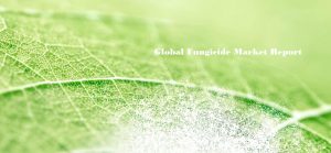 <span class="entry-title-primary">Fungicide Market to Gain Traction from Agriculture Industry in Coming 5 years</span> <span class="entry-subtitle">Global Fungicide Market Worth US$ 12980 million by 2024</span>