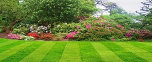 <span class="entry-title-primary">Garden and Lawn Market Size, Analysis,Demands and Forecast-2024</span> <span class="entry-subtitle"> Garden and Lawn Market Size, Analytical Overview, Growth Factors, Demand, Trends.</span>