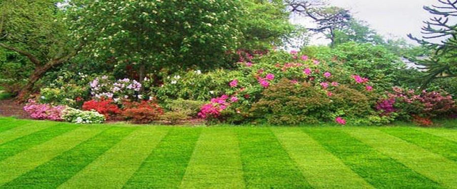 <span class="entry-title-primary">Garden and Lawn Market Size, Analysis,Demands and Forecast-2024</span> <span class="entry-subtitle"> Garden and Lawn Market Size, Analytical Overview, Growth Factors, Demand, Trends.</span><span class="rating-result after_title mr-filter rating-result-30196">			<span class="no-rating-results-text">No ratings yet.</span>		</span>