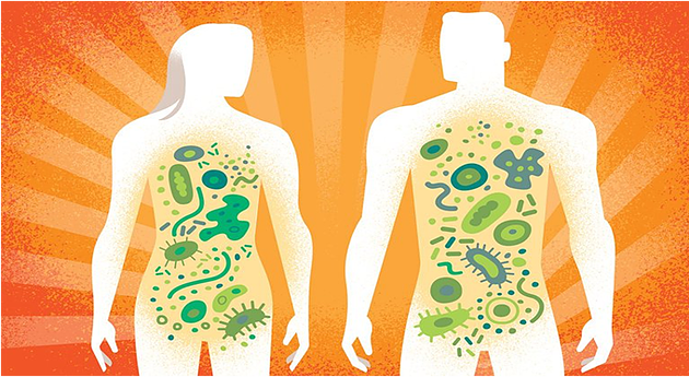 Human Microbiome market Share, Size and Analysis<span class="rating-result after_title mr-filter rating-result-28483">			<span class="no-rating-results-text">No ratings yet.</span>		</span>