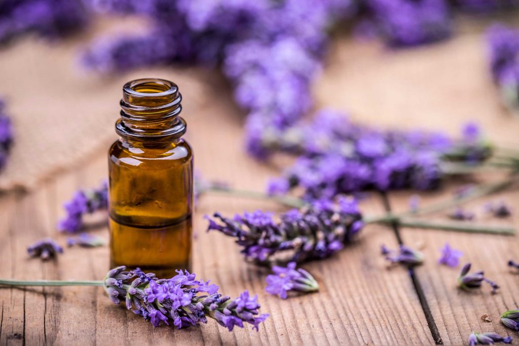 <span class="entry-title-primary">Lavender Essential Oil Market – Global Industry Sales, Demand, Trends 2024</span> <span class="entry-subtitle">Lavender Essential Oil Market Insights 2019, Global and Chinese Analysis and Forecast to 2024</span><span class="rating-result after_title mr-filter rating-result-30706">			<span class="no-rating-results-text">No ratings yet.</span>		</span>