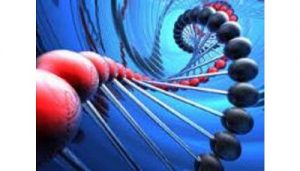 <span class="entry-title-primary">Molecular Biomarkers Market Share, Trends, Demand, Key Players and Forecast to 2025</span> <span class="entry-subtitle">Molecular Biomarkers Market Research And Trends</span>