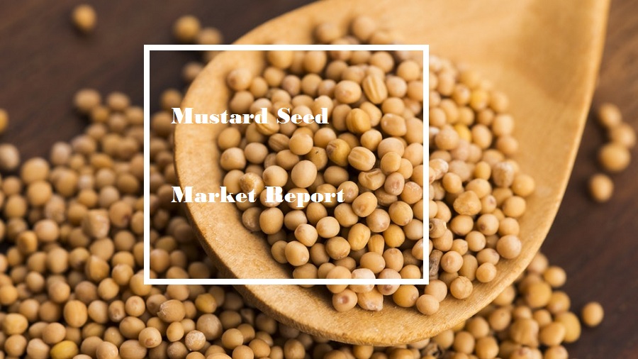 <span class="entry-title-primary">Mustard Seed Market By Types, Benefits, Demand, Uses, Consumption and Forecast till 2025</span> <span class="entry-subtitle">Global Mustard Seed Market Report</span><span class="rating-result after_title mr-filter rating-result-29797">			<span class="no-rating-results-text">No ratings yet.</span>		</span>