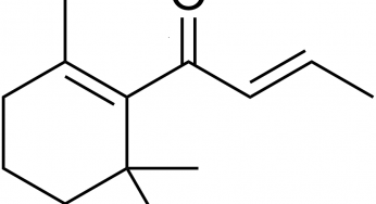 Natural Damascone Market Size, Analysis, Benefits, Demands and Forecast Report by 2024