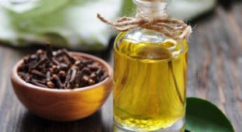 Natural Methyl Eugenol Market Size, Analysis, Benefits, Demands and Forecast Report by 2024