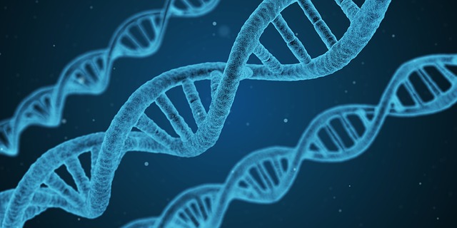 Oligonucleotide synthesis market Size, Share, Trends and Analysis<span class="rating-result after_title mr-filter rating-result-28452">			<span class="no-rating-results-text">No ratings yet.</span>		</span>