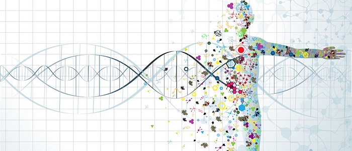 Precision medicine market Share, Size and Analysis<span class="rating-result after_title mr-filter rating-result-28487">			<span class="no-rating-results-text">No ratings yet.</span>		</span>