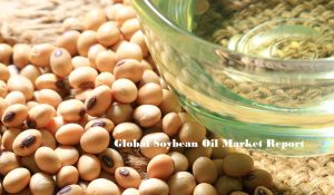 <span class="entry-title-primary">Soybean Oil Market Latest News | Market Insights | Business Plan | Forecast by 2024</span> <span class="entry-subtitle">Global Soybean Oil Market</span>