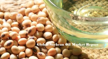 Soybean Oil Market Latest News | Market Insights | Business Plan | Forecast by 2024