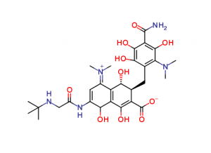 <span class="entry-title-primary">Tigecycline Market Size, Share,  Segments and Forecast 2019-2025</span> <span class="entry-subtitle">Tigecycline  Market Overview and Regional Outlook Study</span>