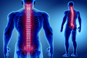 <span class="entry-title-primary">Transverse Myelitis Market Research Report Study By Product and Expert Segment</span> <span class="entry-subtitle">Transverse Myelitis Market 2019 Global Analysis,Research</span>