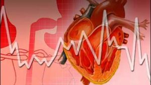 <span class="entry-title-primary">Ventricular Assist Device Market Size, Growth, Trends | Forecast 2019-2025</span> <span class="entry-subtitle">Ventricular Assist Device Market: Global Key Players, Trends</span>