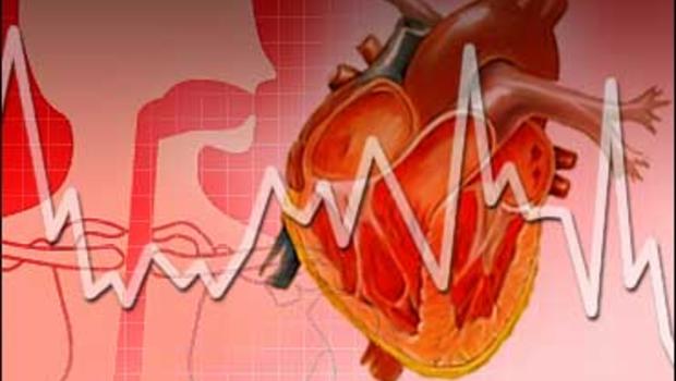 <span class="entry-title-primary">Ventricular Assist Device Market Size, Growth, Trends | Forecast 2019-2025</span> <span class="entry-subtitle">Ventricular Assist Device Market: Global Key Players, Trends</span><span class="rating-result after_title mr-filter rating-result-31233">	<span class="mr-star-rating">			    <i class="fa fa-star mr-star-full"></i>	    	    <i class="fa fa-star mr-star-full"></i>	    	    <i class="fa fa-star mr-star-full"></i>	    	    <i class="fa fa-star mr-star-full"></i>	    	    <i class="fa fa-star mr-star-full"></i>	    </span><span class="star-result">	5/5</span>			<span class="count">				(1)			</span>			</span>