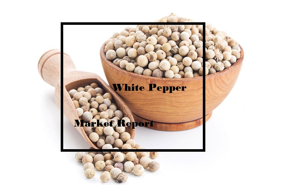 <span class="entry-title-primary">White Pepper Market | Industry Outlook by 2025</span> <span class="entry-subtitle">Global White Pepper Market Report</span><span class="rating-result after_title mr-filter rating-result-29853">			<span class="no-rating-results-text">No ratings yet.</span>		</span>