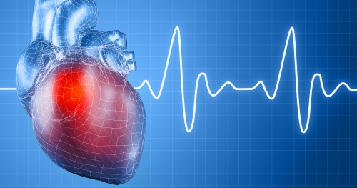 Electrophysiology Market Size, Share, Insights, Growth and Forecast<span class="rating-result after_title mr-filter rating-result-29872">			<span class="no-rating-results-text">No ratings yet.</span>		</span>