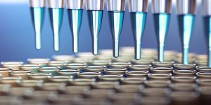 High-throughput Screening Market Size, Growth, Trends, Share and Analysis