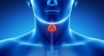 Thyroid Function Test Market Size, Growth, Trends, Share and Analysis