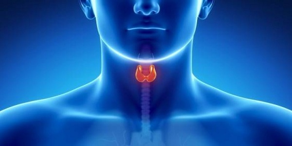 Thyroid Function Test Market Size, Growth, Trends, Share and Analysis<span class="rating-result after_title mr-filter rating-result-30573">			<span class="no-rating-results-text">No ratings yet.</span>		</span>