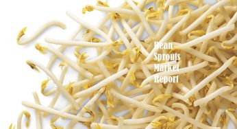 Bean Sprouts Market Analysis Report by 2025