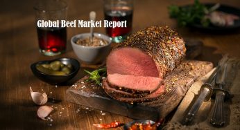 Beef Market Size | Status | Top Players | Trends and Forecast to 2025