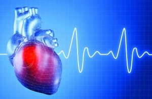 <span class="entry-title-primary">Cardiovascular Devices Market Analysis, Trends, Forecast, 2019-2025</span> <span class="entry-subtitle">Global Cardiovascular Devices Market Report</span>