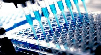 Cell based Assay Market Size, Growth, Trends, Share and Analysis