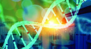 Companion Diagnostics Market Size, Share | Industry Analysis , Analysis