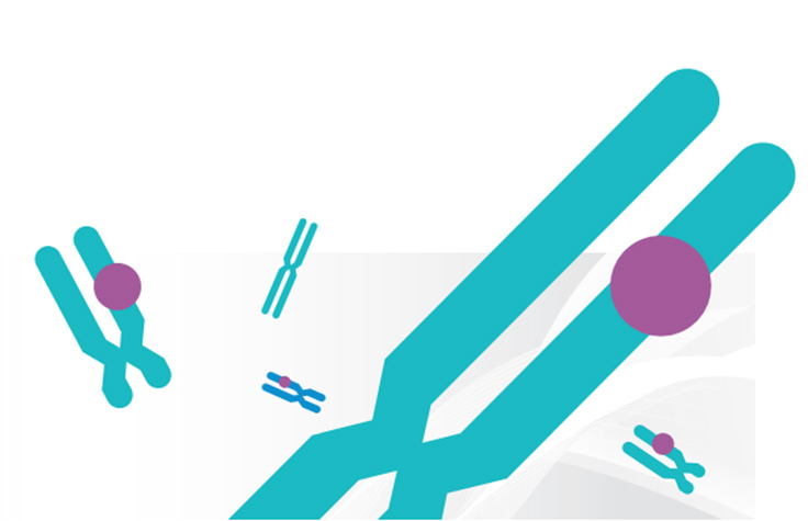 <span class="entry-title-primary">Global Cytogenetics Market Report – Industry Size, Trends, Growth</span> <span class="entry-subtitle">Cytogenetics Market Growth Forecast Report</span><span class="rating-result after_title mr-filter rating-result-32034">	<span class="mr-star-rating">			    <i class="fa fa-star mr-star-full"></i>	    	    <i class="fa fa-star mr-star-full"></i>	    	    <i class="fa fa-star mr-star-full"></i>	    	    <i class="fa fa-star mr-star-full"></i>	    	    <i class="fa fa-star mr-star-full"></i>	    </span><span class="star-result">	5/5</span>			<span class="count">				(1)			</span>			</span>