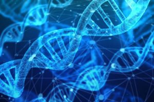 <span class="entry-title-primary">Global DNA Test Kit Market |  Type and Application, Forecast to 2024</span> <span class="entry-subtitle">DNA Test Kit Market Research</span>