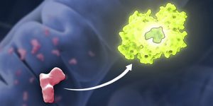 <span class="entry-title-primary">Histoplasmosis Treatment Market – Global Industry Analysis, Size and Forecast, 2019</span> <span class="entry-subtitle">Histoplasmosis Treatment Market Analysis, Research Report</span>