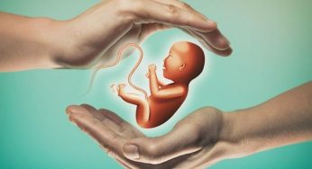 IVF Market Size, Status, Top Players, Trends and Forecast to 2024