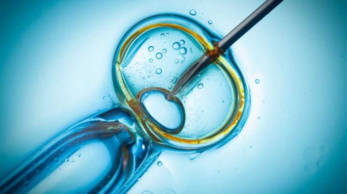 <span class="entry-title-primary">In Vitro Fertilization Device Market 2019 | Global Market Size, Share, Supply, and Forecast 2025</span> <span class="entry-subtitle">In Vitro Fertilization Device Market Segments and Forecast 2019-2025</span><span class="rating-result after_title mr-filter rating-result-33159">	<span class="mr-star-rating">			    <i class="fa fa-star mr-star-full"></i>	    	    <i class="fa fa-star mr-star-full"></i>	    	    <i class="fa fa-star mr-star-full"></i>	    	    <i class="fa fa-star mr-star-full"></i>	    	    <i class="fa fa-star mr-star-full"></i>	    </span><span class="star-result">	5/5</span>			<span class="count">				(1)			</span>			</span>