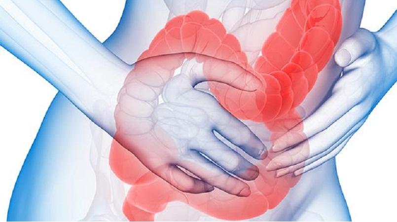 <span class="entry-title-primary">Irritable Bowel Syndrome (IBS) Market 2024 by Types, Application, Technology</span> <span class="entry-subtitle">Global Irritable Bowel Syndrome IBS Market Report</span><span class="rating-result after_title mr-filter rating-result-33602">	<span class="mr-star-rating">			    <i class="fa fa-star mr-star-full"></i>	    	    <i class="fa fa-star mr-star-full"></i>	    	    <i class="fa fa-star mr-star-full"></i>	    	    <i class="fa fa-star mr-star-full"></i>	    	    <i class="fa fa-star mr-star-full"></i>	    </span><span class="star-result">	5/5</span>			<span class="count">				(1)			</span>			</span>