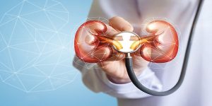 Global Kidney Function Tests Market Size, Share, Trends, Growth, Forecast