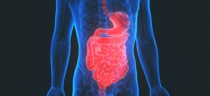 <span class="entry-title-primary">Malabsorption Syndrome Market Size by Players, By Applications, Types, 2025 Forecast Report</span> <span class="entry-subtitle">Malabsorption Syndrome Market</span>