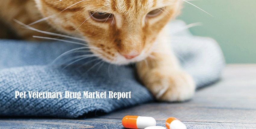 <span class="entry-title-primary">Veterinary Drug Market | Animal Drugs Market | Industry Analysis and Forecast by 2026</span> <span class="entry-subtitle">Global Pet Veterinary Drug Market</span><span class="rating-result after_title mr-filter rating-result-34205">			<span class="no-rating-results-text">No ratings yet.</span>		</span>