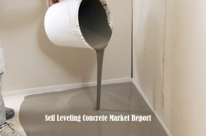 <span class="entry-title-primary">Self Leveling Concrete Market Report | 2019-2024</span> <span class="entry-subtitle">Global Self Leveling Concrete Market</span>