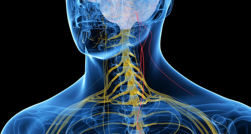 <span class="entry-title-primary">Vagus Nerve Stimulation VNS Market Industry Analysis 2019 – 2025 and Opportunity Assessment</span> <span class="entry-subtitle">Vagus Nerve Stimulation VNS Market rowth - Future Market Insights</span><span class="rating-result after_title mr-filter rating-result-32194">	<span class="mr-star-rating">			    <i class="fa fa-star mr-star-full"></i>	    	    <i class="fa fa-star mr-star-full"></i>	    	    <i class="fa fa-star mr-star-full"></i>	    	    <i class="fa fa-star mr-star-full"></i>	    	    <i class="fa fa-star mr-star-full"></i>	    </span><span class="star-result">	5/5</span>			<span class="count">				(1)			</span>			</span>