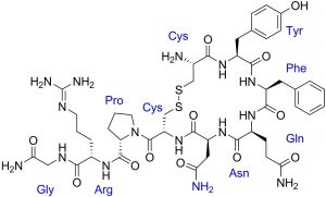 <span class="entry-title-primary">Vasopressin Market Segmentation by by Product Type | Application | Key Manufacturers | Forecast by 2026</span> <span class="entry-subtitle">Global Vasopressin Market Report</span>