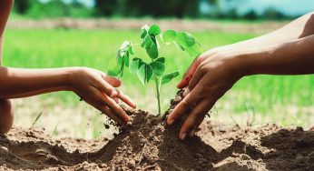 Environment, Health, and Safety Market size, country level shares, major value chain analysis