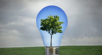 Bio-Energy Market size, country level shares, major value chain analysis