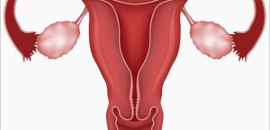 <span class="entry-title-primary">Endometrial Cancer Market Share, Segmentation and Forecast to 2024</span> <span class="entry-subtitle">Global Endometrial Cancer Market </span>