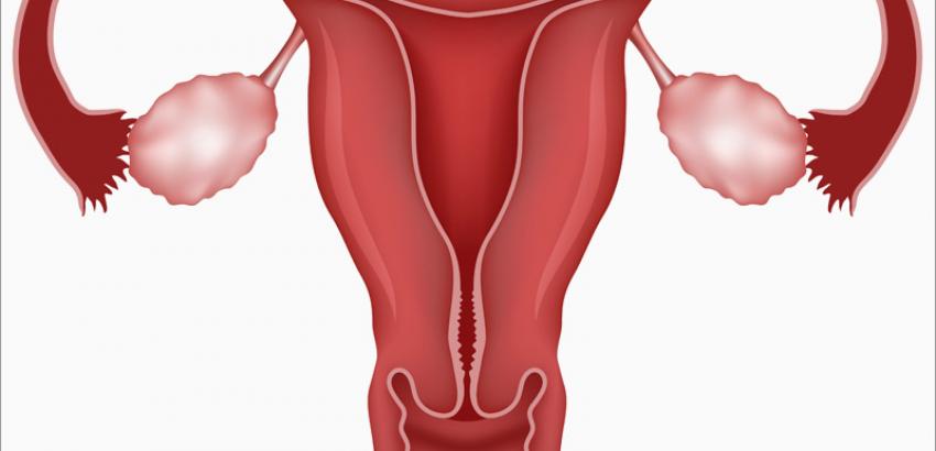 <span class="entry-title-primary">Endometrial Cancer Market Share, Segmentation and Forecast to 2024</span> <span class="entry-subtitle">Global Endometrial Cancer Market </span><span class="rating-result after_title mr-filter rating-result-34395">	<span class="mr-star-rating">			    <i class="fa fa-star mr-star-full"></i>	    	    <i class="fa fa-star mr-star-full"></i>	    	    <i class="fa fa-star mr-star-full"></i>	    	    <i class="fa fa-star mr-star-full"></i>	    	    <i class="fa fa-star mr-star-full"></i>	    </span><span class="star-result">	5/5</span>			<span class="count">				(1)			</span>			</span>