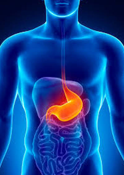 <span class="entry-title-primary">Gastrointestinal Stromal Tumors GISTs Treatment Market Report 2019-2024 Emerging Key Players by Types, Applications</span> <span class="entry-subtitle">Gastrointestinal Stromal Tumors GISTs Treatment Market</span><span class="rating-result after_title mr-filter rating-result-35287">	<span class="mr-star-rating">			    <i class="fa fa-star mr-star-full"></i>	    	    <i class="fa fa-star mr-star-full"></i>	    	    <i class="fa fa-star mr-star-full"></i>	    	    <i class="fa fa-star mr-star-full"></i>	    	    <i class="fa fa-star mr-star-full"></i>	    </span><span class="star-result">	5/5</span>			<span class="count">				(1)			</span>			</span>