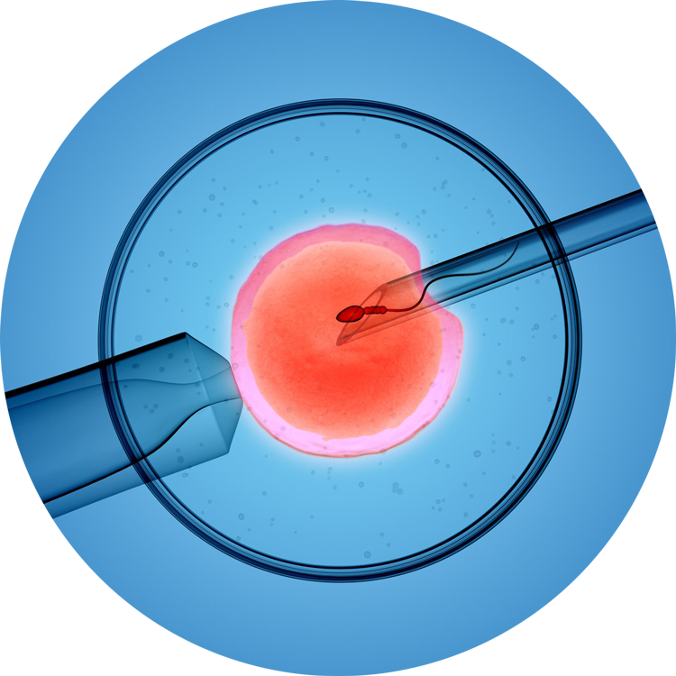 <span class="entry-title-primary">Invitro Fertilization Ivf Market Growth, Analysis of Key Players, Trends,</span> <span class="entry-subtitle">Invitro Fertilization Ivf Market Report</span><span class="rating-result after_title mr-filter rating-result-34410">	<span class="mr-star-rating">			    <i class="fa fa-star mr-star-full"></i>	    	    <i class="fa fa-star mr-star-full"></i>	    	    <i class="fa fa-star mr-star-full"></i>	    	    <i class="fa fa-star mr-star-full"></i>	    	    <i class="fa fa-star mr-star-full"></i>	    </span><span class="star-result">	5/5</span>			<span class="count">				(1)			</span>			</span>