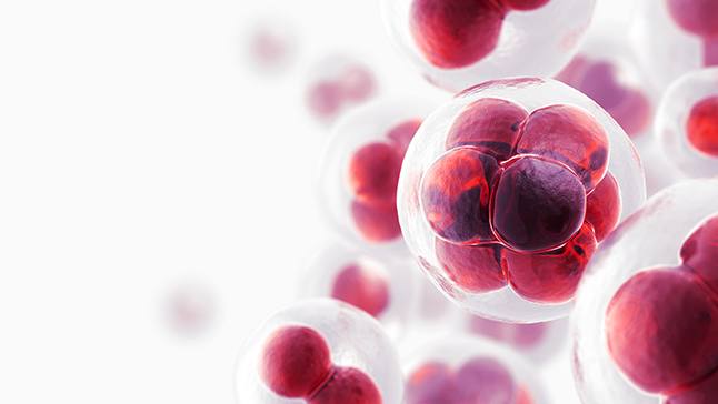 <span class="entry-title-primary">Leukemia Cancer Market 2019: Global Industry Share, Size, Share, Demand, Key Findings, Regional Analysis,</span> <span class="entry-subtitle">Global Leukemia Cancer Market Report</span><span class="rating-result after_title mr-filter rating-result-35202">	<span class="mr-star-rating">			    <i class="fa fa-star mr-star-full"></i>	    	    <i class="fa fa-star mr-star-full"></i>	    	    <i class="fa fa-star mr-star-full"></i>	    	    <i class="fa fa-star mr-star-full"></i>	    	    <i class="fa fa-star mr-star-full"></i>	    </span><span class="star-result">	5/5</span>			<span class="count">				(1)			</span>			</span>