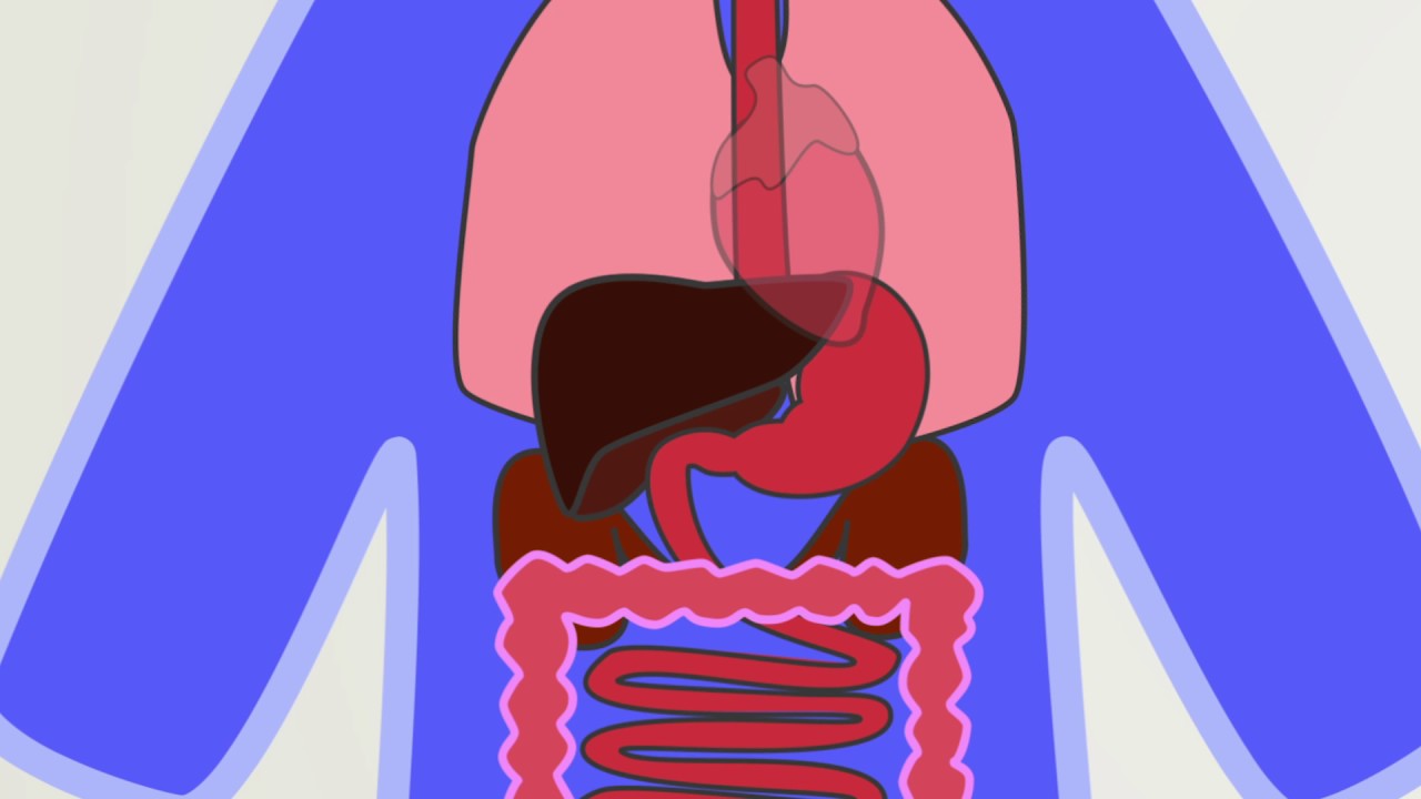 <span class="entry-title-primary">Latest Primary Sclerosing Cholangitis Market  Report | Latest Trend, Growth</span> <span class="entry-subtitle">Global Primary Sclerosing Cholangitis Market Research</span><span class="rating-result after_title mr-filter rating-result-34510">	<span class="mr-star-rating">			    <i class="fa fa-star mr-star-full"></i>	    	    <i class="fa fa-star mr-star-full"></i>	    	    <i class="fa fa-star mr-star-full"></i>	    	    <i class="fa fa-star mr-star-full"></i>	    	    <i class="fa fa-star mr-star-full"></i>	    </span><span class="star-result">	5/5</span>			<span class="count">				(1)			</span>			</span>