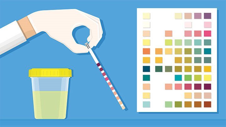 <span class="entry-title-primary">Global Urinalysis Test Market 2019-2024 Growth, Trends and Demands</span> <span class="entry-subtitle">Urinalysis Test Market Research</span><span class="rating-result after_title mr-filter rating-result-34379">	<span class="mr-star-rating">			    <i class="fa fa-star mr-star-full"></i>	    	    <i class="fa fa-star mr-star-full"></i>	    	    <i class="fa fa-star mr-star-full"></i>	    	    <i class="fa fa-star mr-star-full"></i>	    	    <i class="fa fa-star mr-star-full"></i>	    </span><span class="star-result">	5/5</span>			<span class="count">				(1)			</span>			</span>